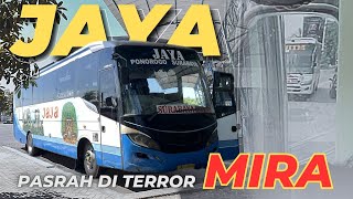 TAK BERKUTIK DI TERROR MIRA ‼️| PO JAYA AE 7491 US | PONOROGO - SURABAYA