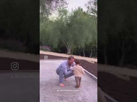 Prince Harry Playing