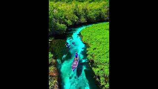 Enjoy beautiful Sucuri river Brazil 🇧🇷