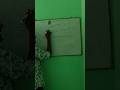 यदि x = √5 तो x + 1/x = ? | #shorts #maths #shortsvideo