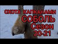 Лисы съели соболей. Охота на соболя. Проверка капканов. ОХОТА 86