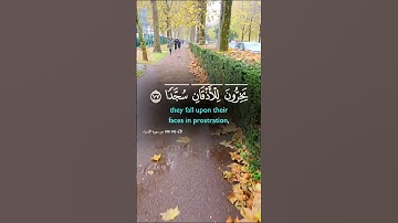 تلاوة عطرة لآيات من كتاب الله #القرآن_الكريم #القرآن #الله #اكسبلور #المصحف #foryou #راحة_نفسية #fyp