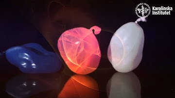 Introduction to Urology | KIx on edX | Course About Video