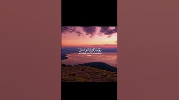 سورة نوح القارئ بندر بليله من الآيه ١ الى الآيه ٤