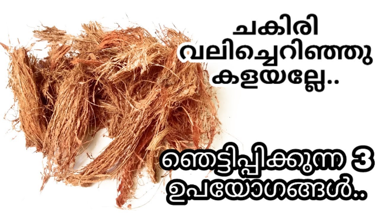 ചകിരിയെ നിസ്സാരക്കാരനായി കരുതണ്ട, ഒരേയൊരു തവണ ഇതൊന്നു കാണൂ|3 Amazing Uses Of Coconut Fibre