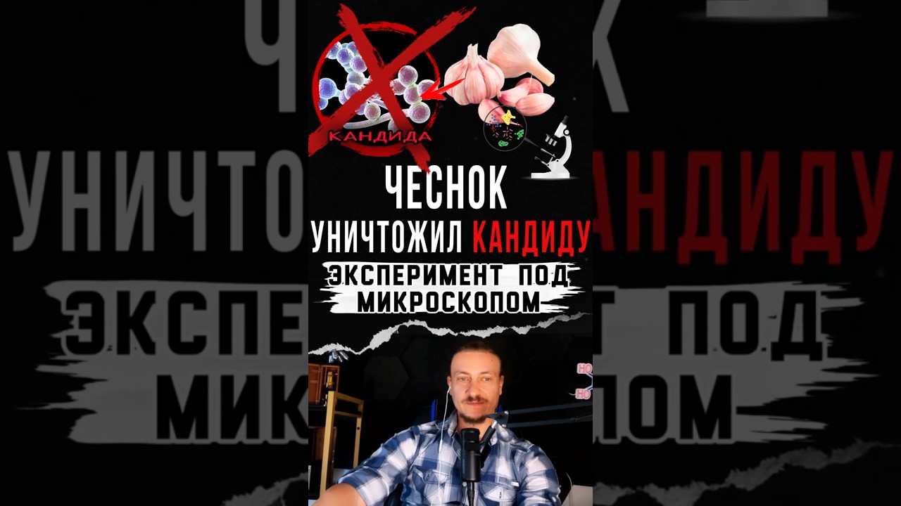 Чеснок уничтожил агрессивную форму грибка Кандида #кандида #грибок #здоровье