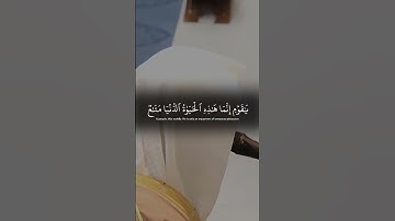 تلاوة رائعة : الشيخ ناصر القطامي