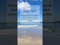 Daily Fact 9