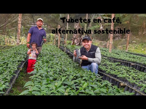 Video: Cómo Hacer Un Café En La Azotea