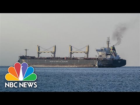 Three More Ships Loaded With Corn Sail From Ukrainian Ports