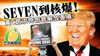 20190909G SEVEN 到核爆！ 黃C跪求特朗普解放香港！ | 芒向快報