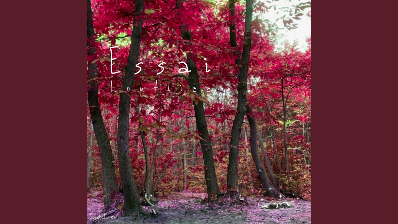 Je Le Sais, Instru Jeuneigloo