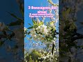 З Великоднем Вас вітаю