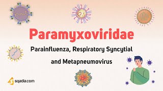 Paramyxoviridae: Parainfluenza Respiratory Syncytial and Metapneumovirus | Microbiology