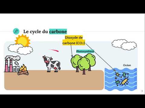 Vidéo: Où est la réserve d'oxygène dans le cycle de l'oxygène du carbone ?