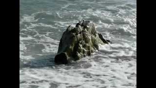 PORTONOVO TRAVE_8_9_2012