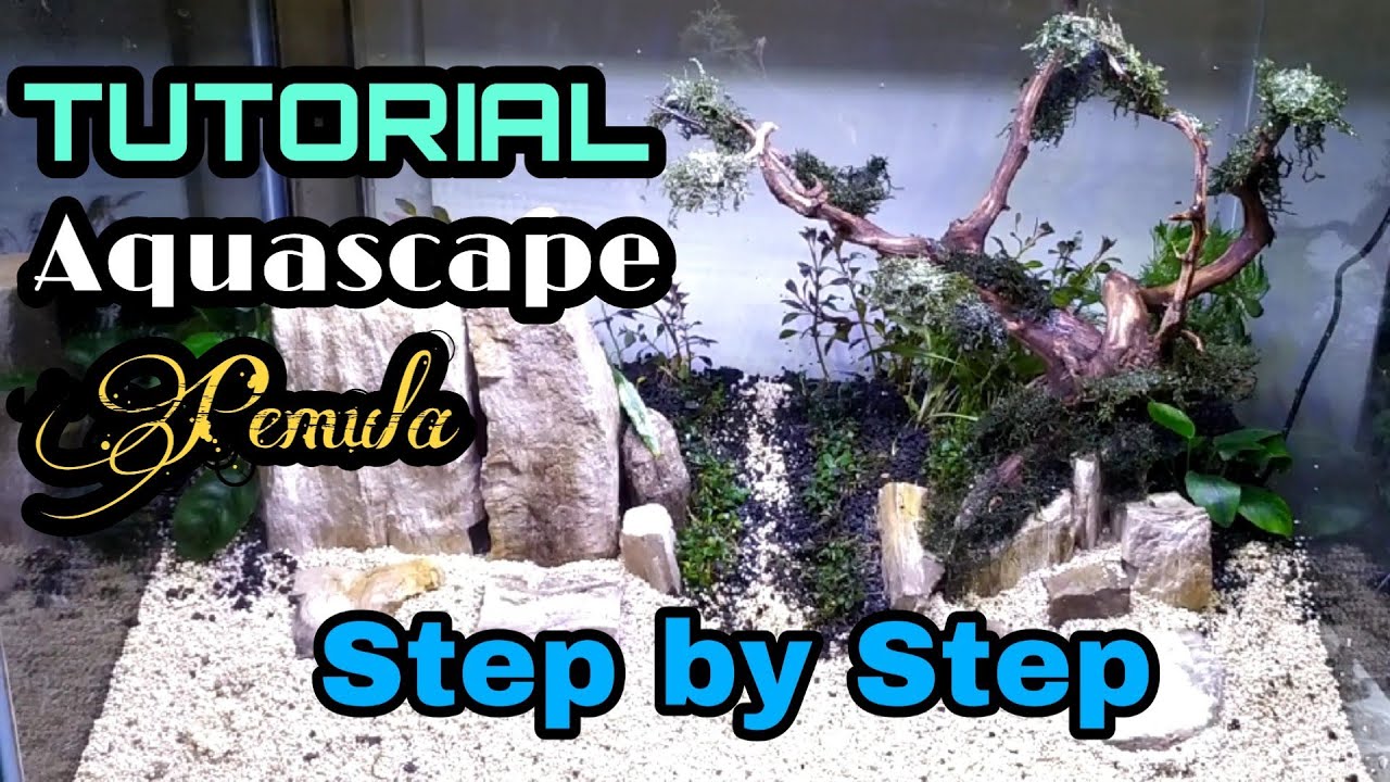 Aquascape Pemula | TUTORIAL STEP BY STEP | SEMARANG INDONESIA #