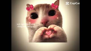 Iu cat#iucat