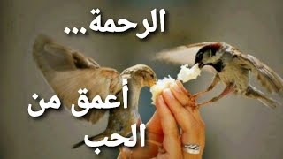 الرحمة أعمق من الحب(مصطفى محمود)