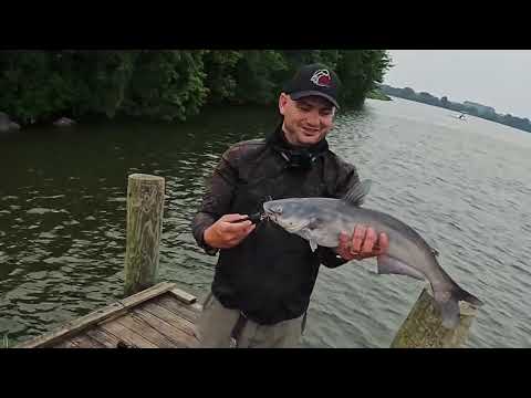 VIRGINIA! I Will Catch a Fish in 50 States