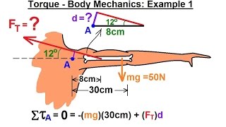 Physics 15 Torque (13 of 27) Body Mechanics: Ex. 1, F=? To Lift Up Arm Net Worth