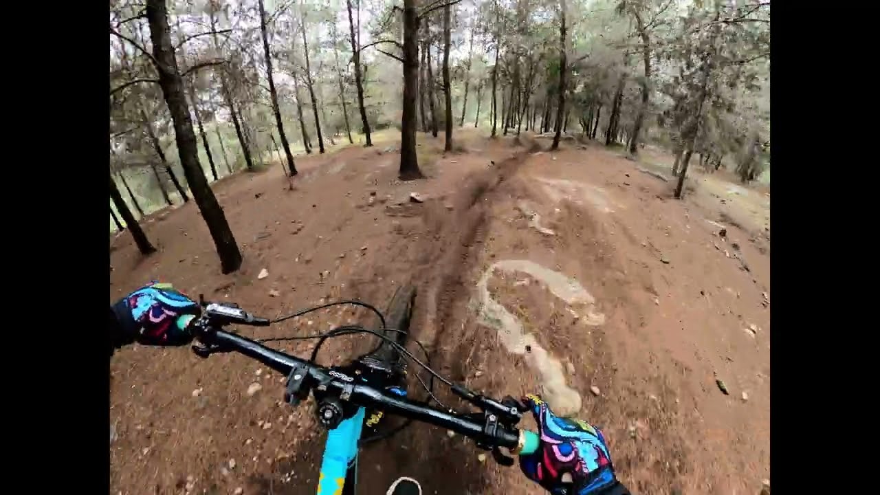 שוב בן שמן ? שוב מהיר ועצבני במגמת ירידה ? שוב אחרי גשם ? כן כן כן !!! 