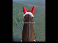 take the bridle off the hook! #essa #horse #equestrianjourney #community #horsecommunity