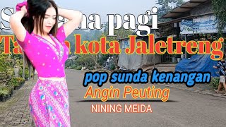 Suasana pagi di taman kota jaletreng 'Angin Peuting -Nining Meida 'pop sunda lawas