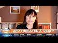 Alternative for Germany threaten a 'Dexit' | #GME