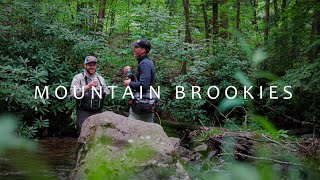 BIG Mountain Brookies | A Fly Fishing Adventure (Dry Dropper Fly Box)