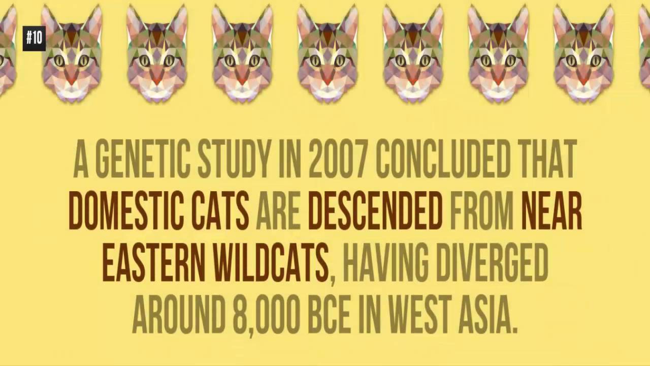 17 Facts about Asia That Will Blow Your Mind | 17 Interesting Facts