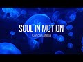 Soul in motion  epic cinematic uplifting vocal  carlos estella  royalty free music