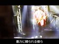 黒い鳥  オリジナル曲 (Original song)