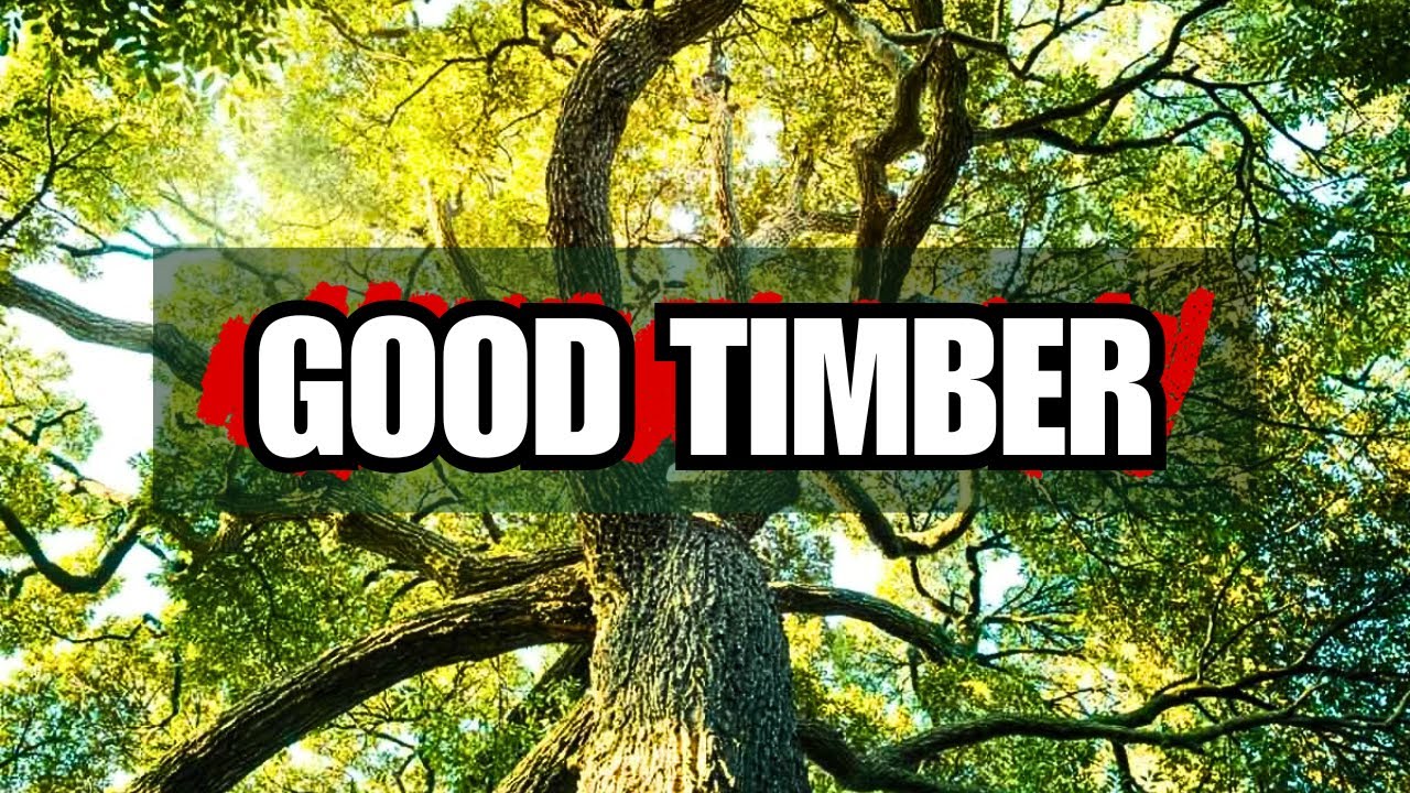 Good Timber (Motivational Poem) Short But Deep Words