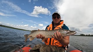 Секрет Удачной Рыбалки на Хищника. Ловим Щуку, Жереха и Окуня