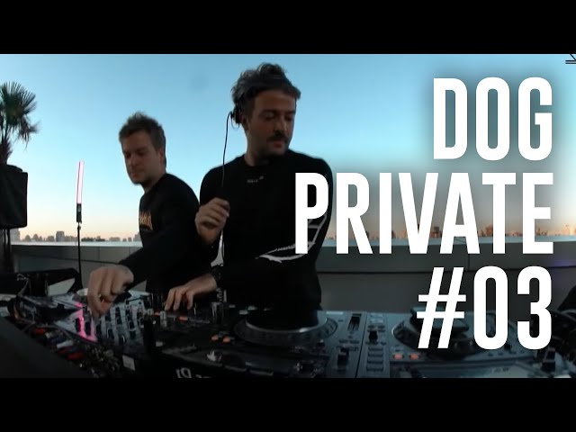 Dubdogz DOGPRIVATE #03 - Sutton, São Paulo - SP) class=