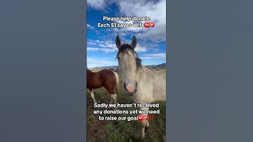 For Any Support Click Our Link In Bio To Help. All Pledges You Make To Support Are Appreciated!🙏