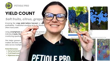 AI in Agriculture: Yield Count Explained – Faster Fruit Counting with Drones & Computer Vision