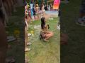 dança Brasil #vaiprofycaramba #funk