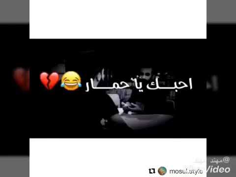 ههههههه بحبك يا حمار 