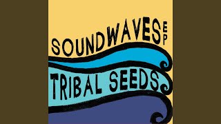 Video thumbnail of "Tribal Seeds - In Your Eyes"