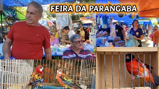 Download Lagu Feira da Parangaba Fortaleza-CE 17-08-2025 MP3 Download Lagu Feira da Parangaba Fortaleza-CE 17-08-2025 MP3