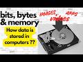 How Computers Store Data | 0s and 1s Explained 💾