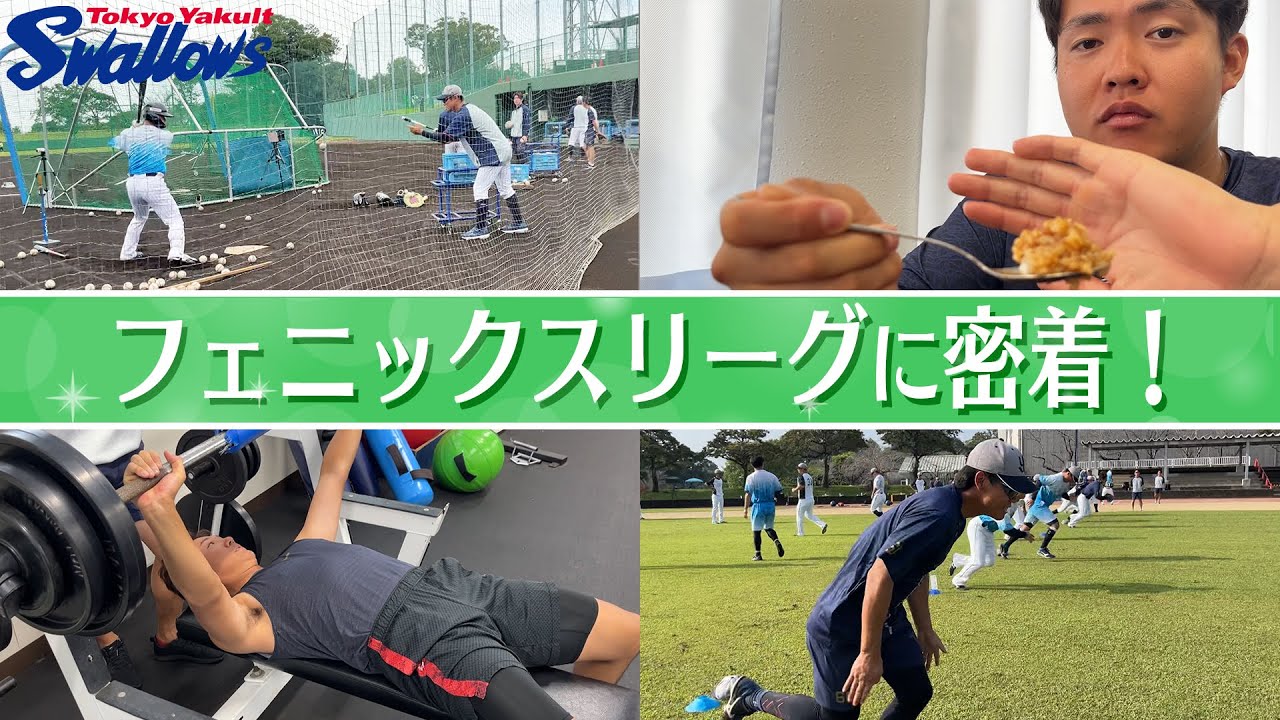 オンライン | ファン感謝DAY2025 presented by マイナビ | 東京