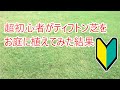 超初心者がお庭にティフトン芝を植えてみた