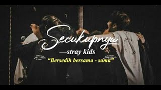 secukupnya - straykids [FMV]