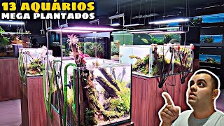 TOUR POR 13 AQUÁRIOS PLANTADOS 