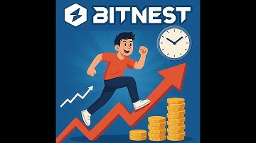 (8) How to Create a New MetaMask Wallet, Add Crypto & Connect this to Bitnest to Start Your Own Loop