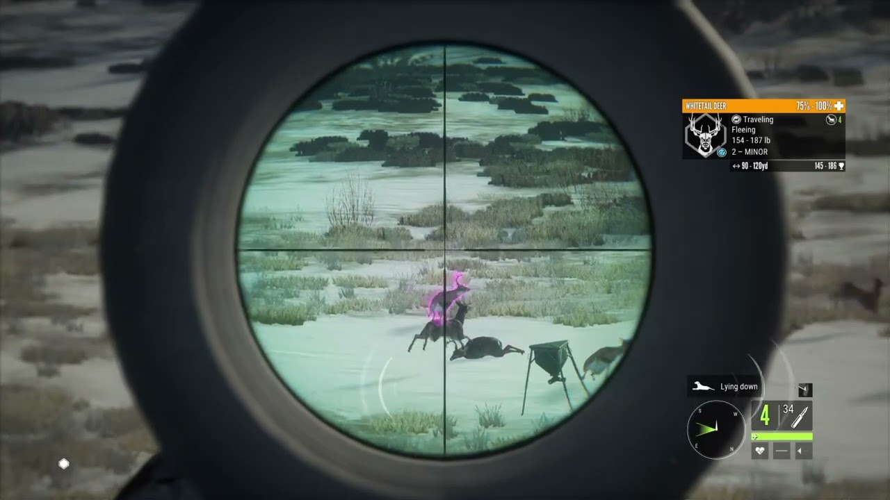 Box Feeder Hunt | theHunter: Call of the Wild