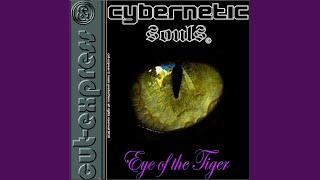 Flip The Switch - Cybernetic Souls